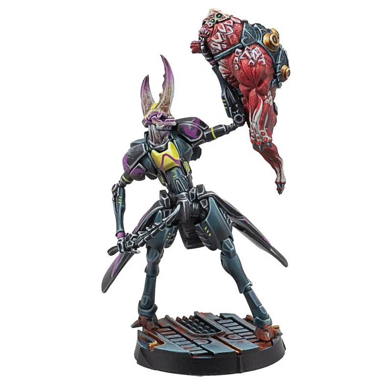 Miniature 2