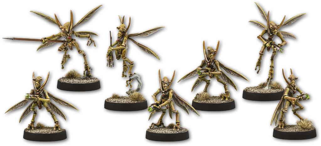 Miniature 2
